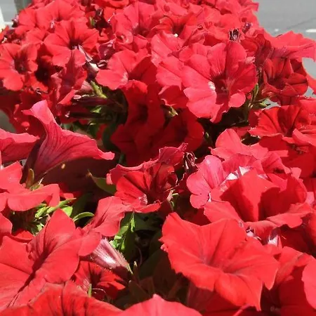 אורחן Fragas Da Canteira Rural Lires