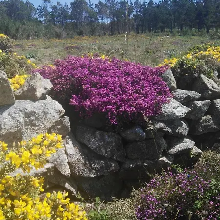 Fragas Da Canteira Rural * Lires
