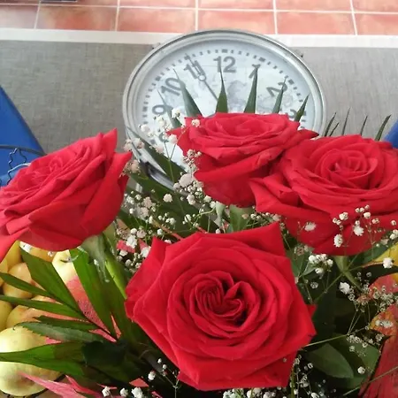 Fragas Da Canteira Rural אורחן