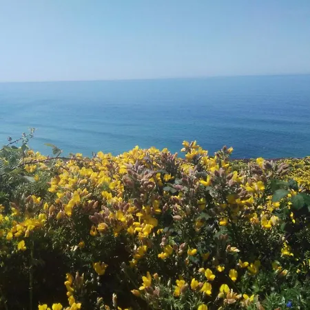 Fragas Da Canteira Rural * Lires