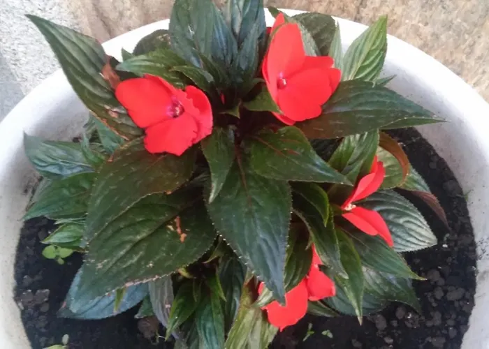 Fragas Da Canteira Rural *