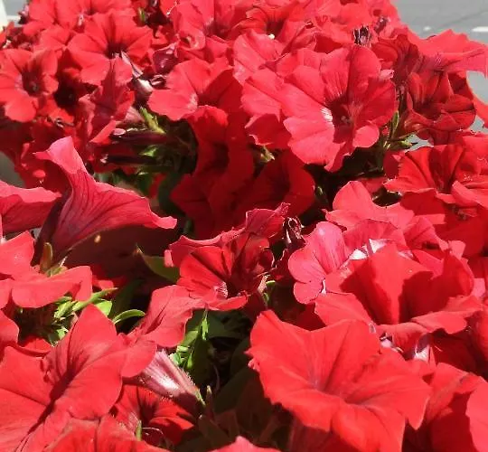 Penzion Fragas Da Canteira Rural Lires